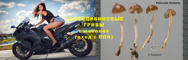 spice Карталы