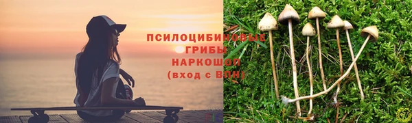 гидропоника Карпинск